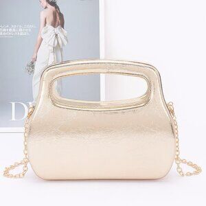 Metallic Case Bag